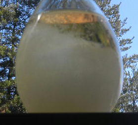 DSCN8794