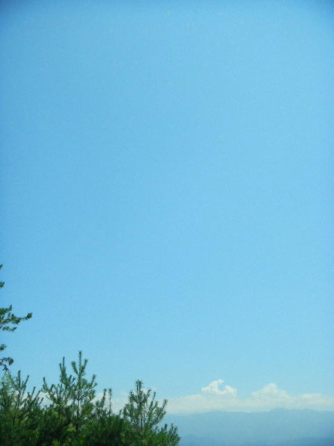 DSCN2961
