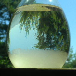 DSCN2972
