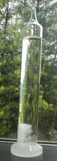 DSCN8867