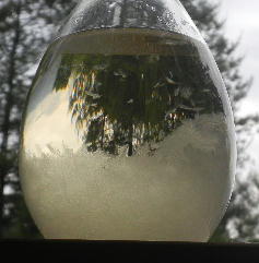 DSCN6160