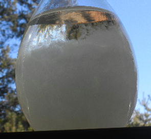 DSCN0711
