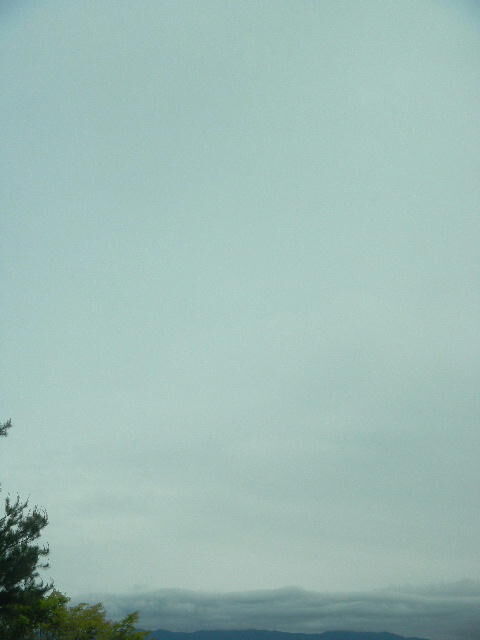 DSCN8784