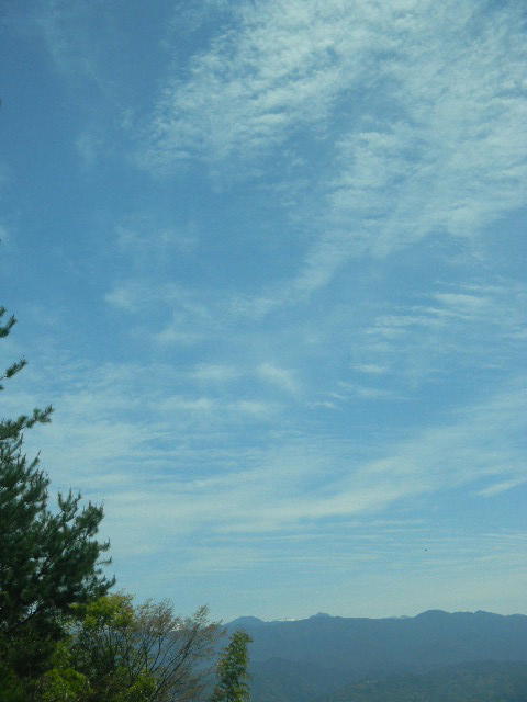 DSCN8771