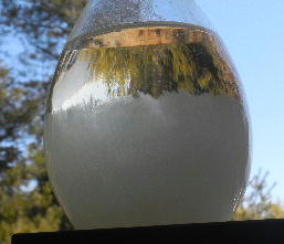 DSCN4378