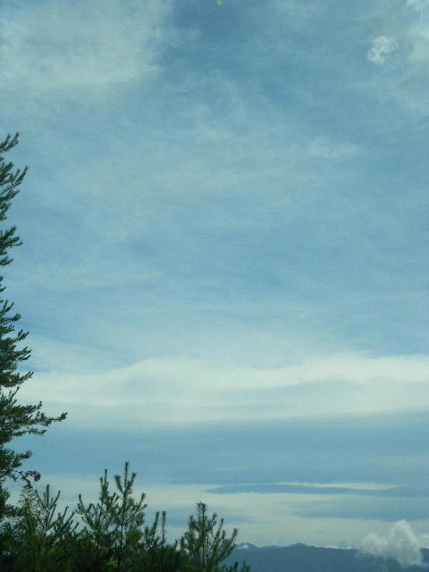 DSCN2942