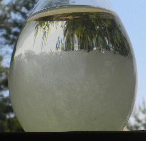 DSCN1140