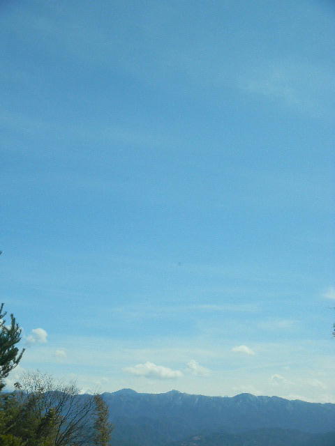 DSCN8826