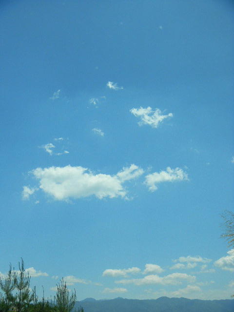 DSCN1242