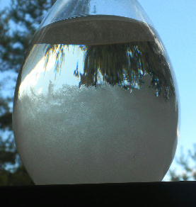 DSCN0340