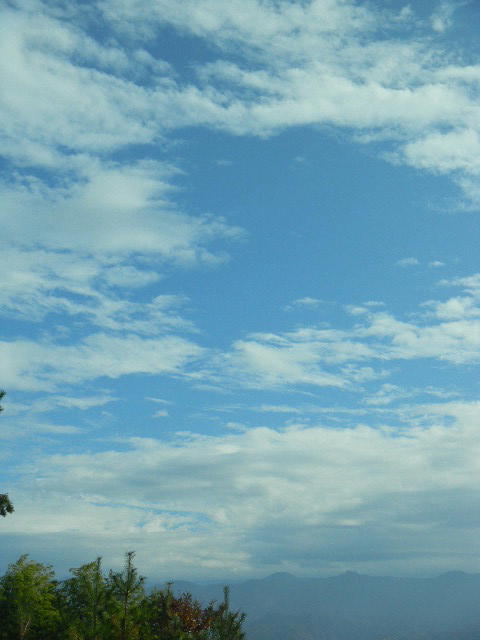DSCN0549