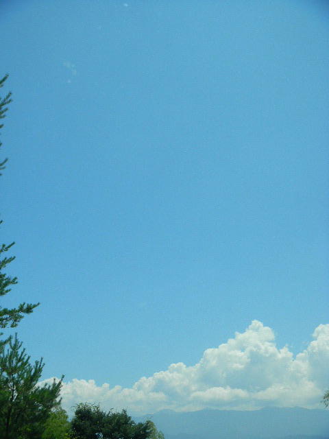 DSCN6422