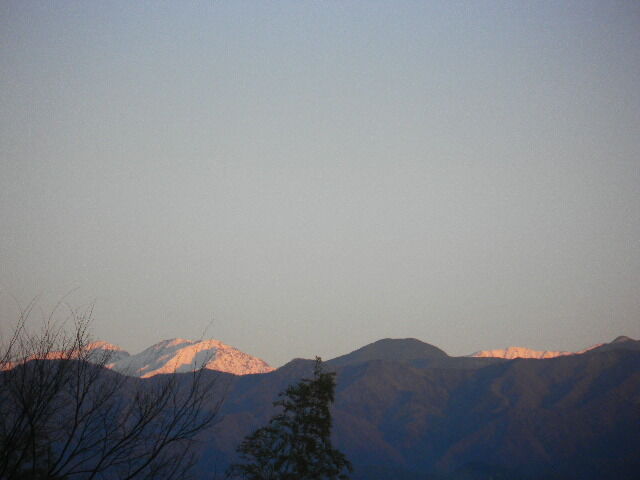 DSCN7336
