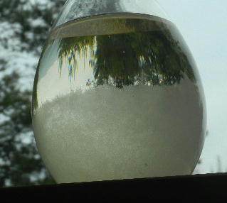 DSCN1106