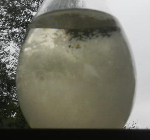 DSCN4851