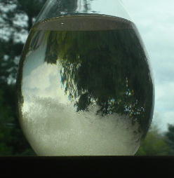 DSCN5126