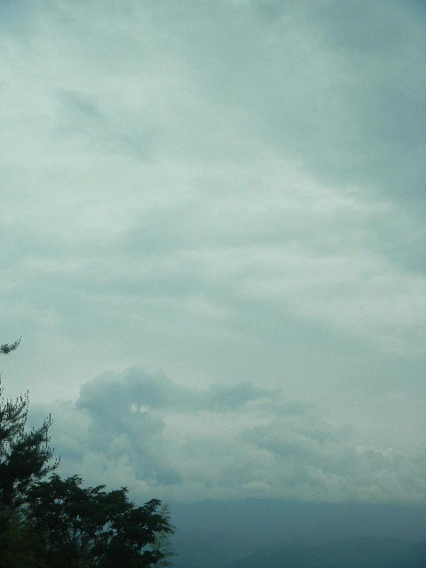 DSCN9091
