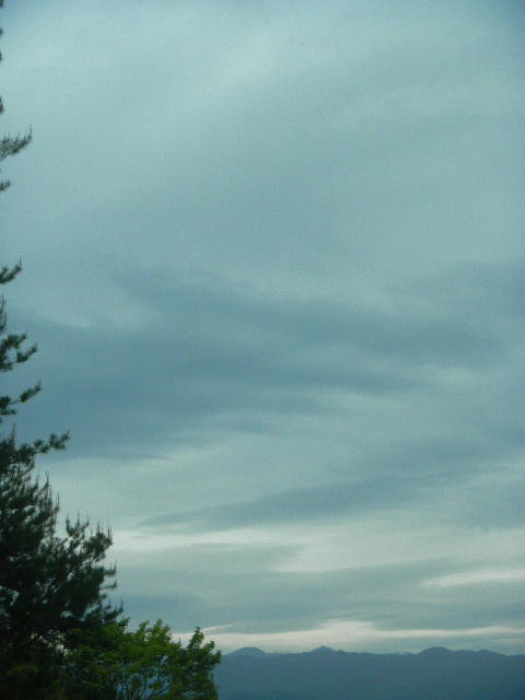 DSCN8796
