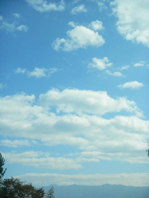 DSCN8415