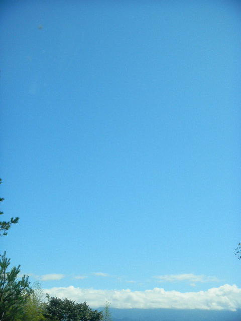 DSCN5141
