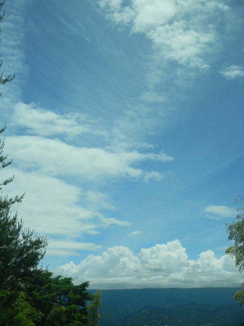 DSCN8866