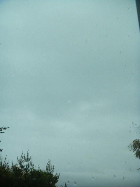DSCN1138