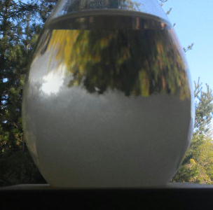 DSCN8480