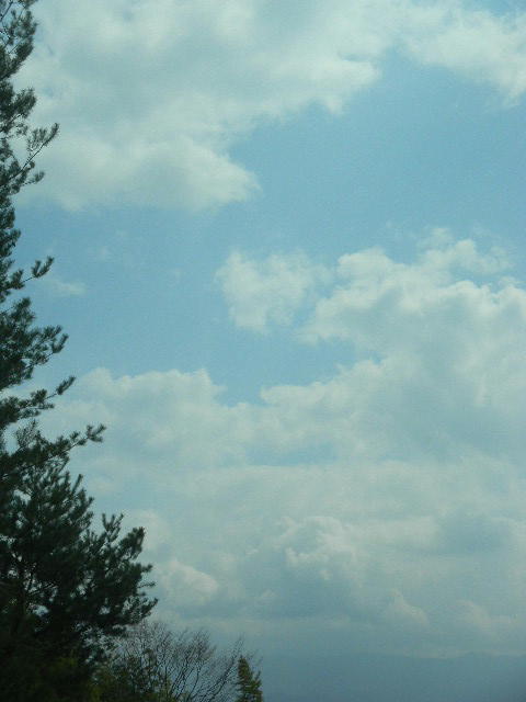 DSCN0020