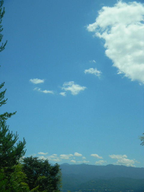 DSCN8018