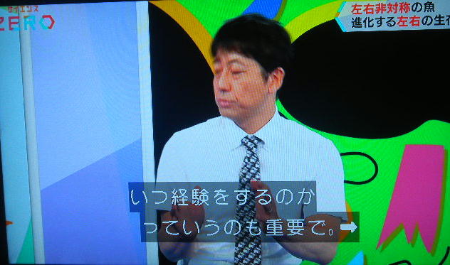 DSCN8097