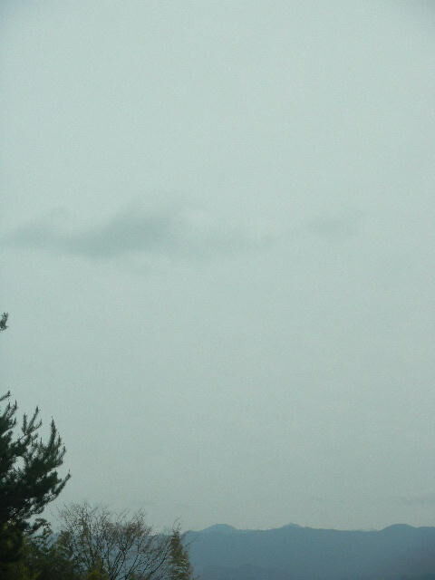 DSCN8958