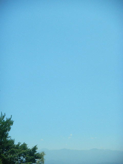 DSCN9009