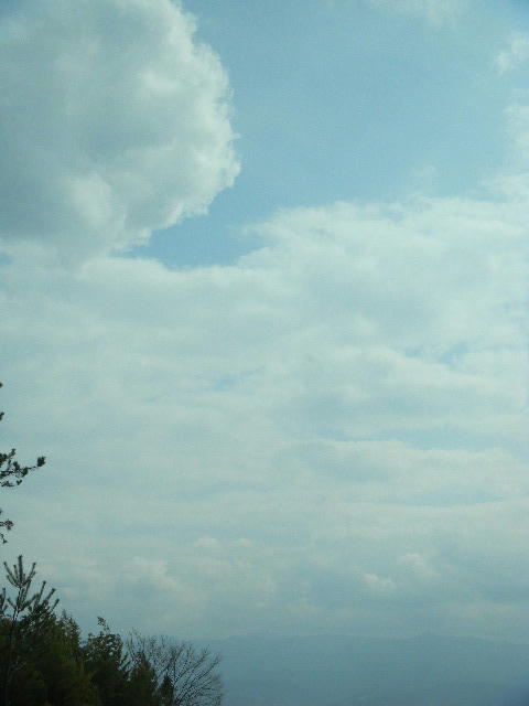 DSCN4417