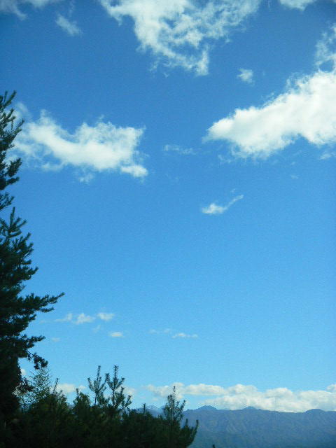 DSCN0124