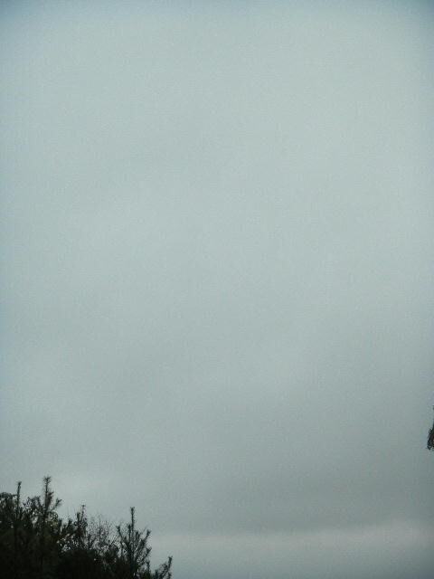 DSCN0901