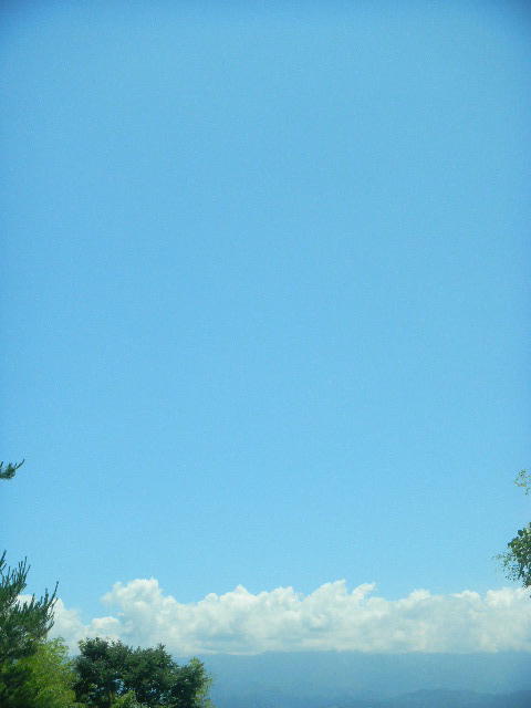 DSCN6260