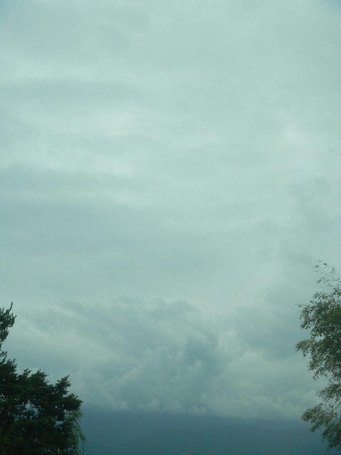 DSCN8993