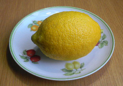 DSCN8508