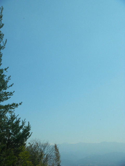 DSCN8833