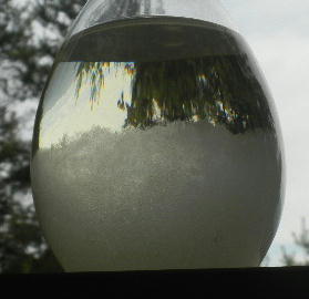 DSCN0333