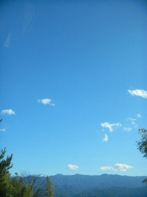 DSCN7241