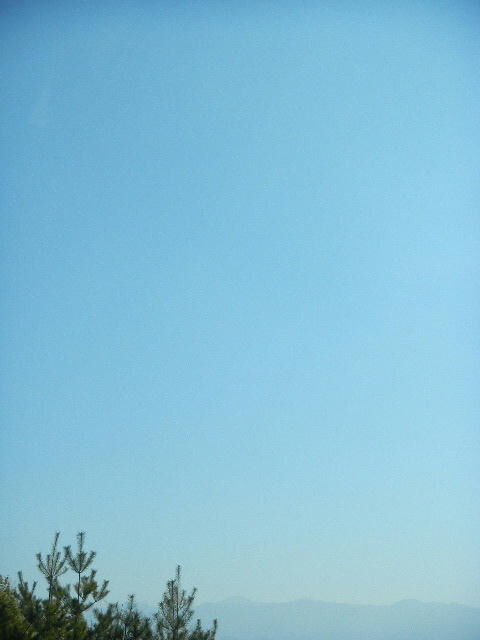 DSCN0822