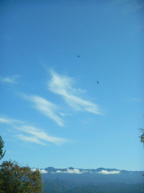 DSCN8431