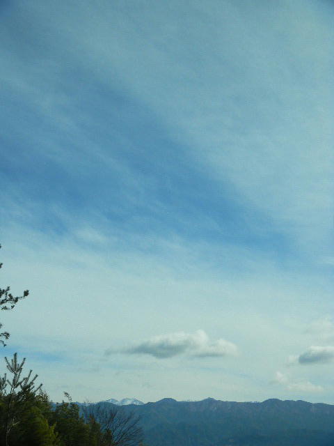 DSCN4233