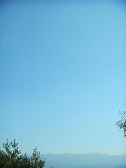DSCN0826