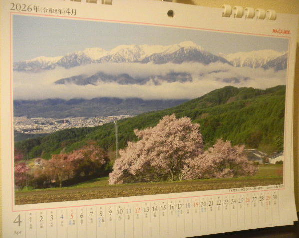 DSCN8776