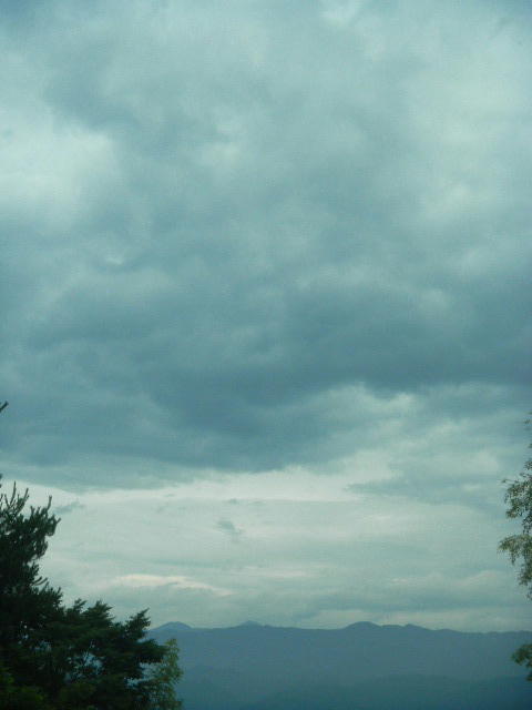 DSCN9019