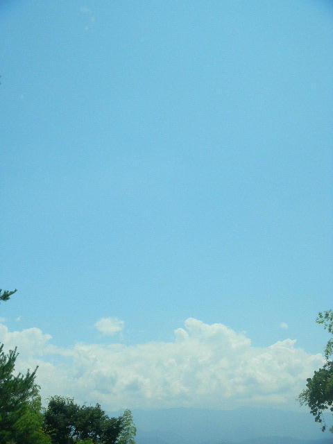 DSCN6380