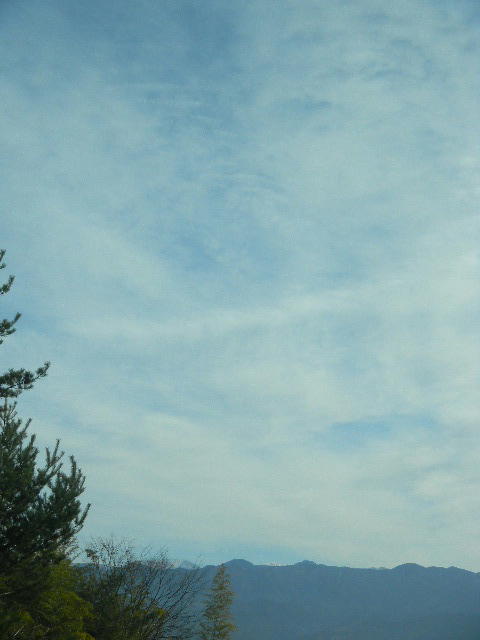 DSCN8534
