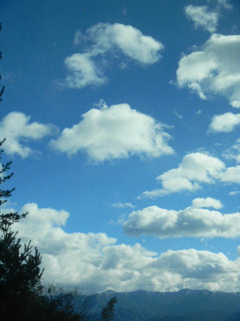 DSCN8510